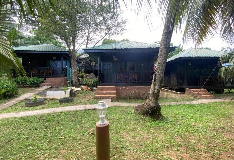 غرفة قياسية, Nazri S Place 2