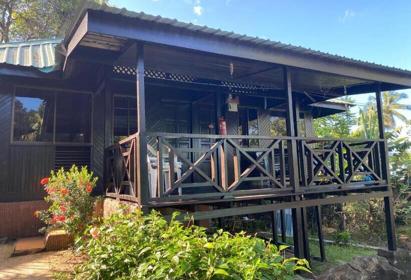 غرفة أساسية ثلاثية, Nazri S Place 2