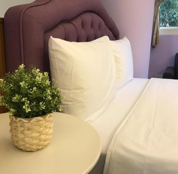 سوییت لوکس, 山同青旅背包客棧