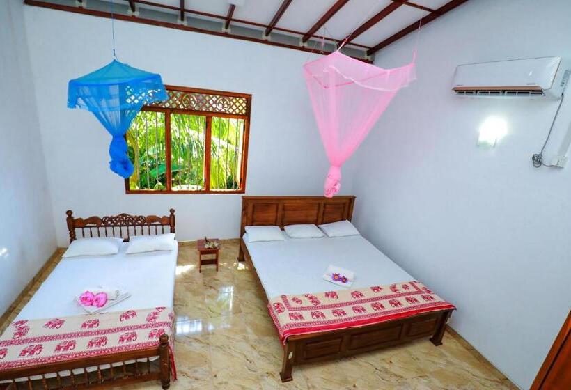 Четырехместный Номер Классик, Tropical Paradise