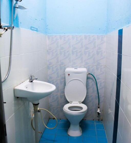 Номер Стандарт, Q