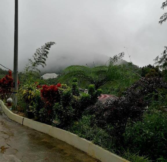 标准平房, Sakura Guest House