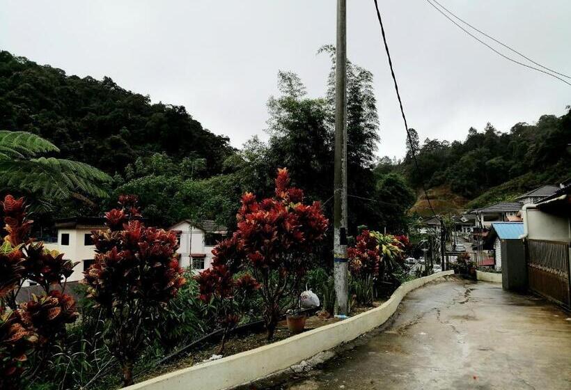 经济房, Sakura Guest House