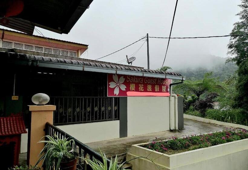 经济房, Sakura Guest House