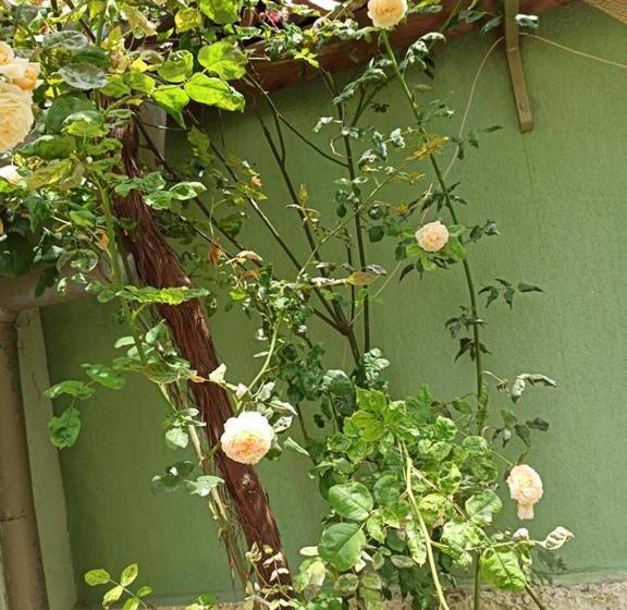 Номер Стандарт, Guest House ,, Ekaterina