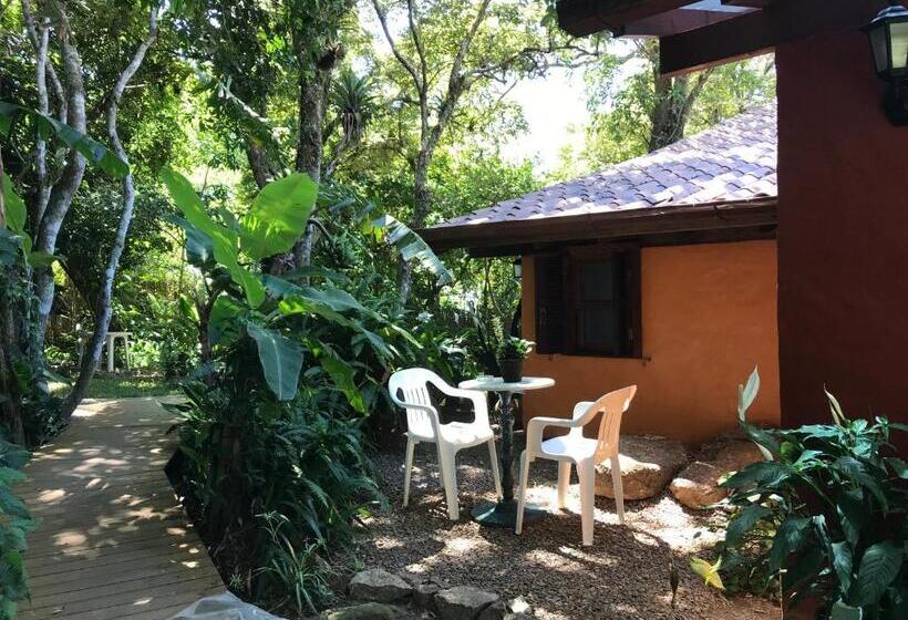 סוויטת סופריור, Regina Guest House