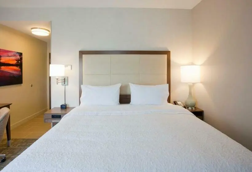キングサイズベッドのスタンダードルーム, Hampton Inn Spicer Green Lake