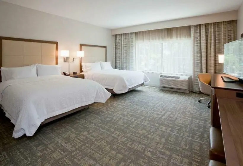 スタンダードルーム, Hampton Inn Spicer Green Lake