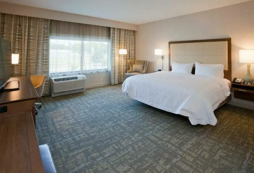 身障者適用キングサイズベッドルーム, Hampton Inn Spicer Green Lake