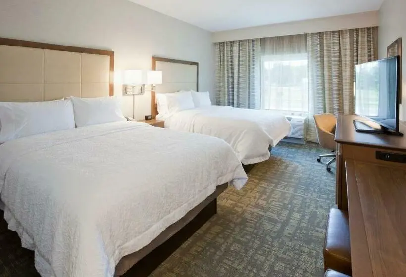 スタンダードルーム, Hampton Inn Spicer Green Lake
