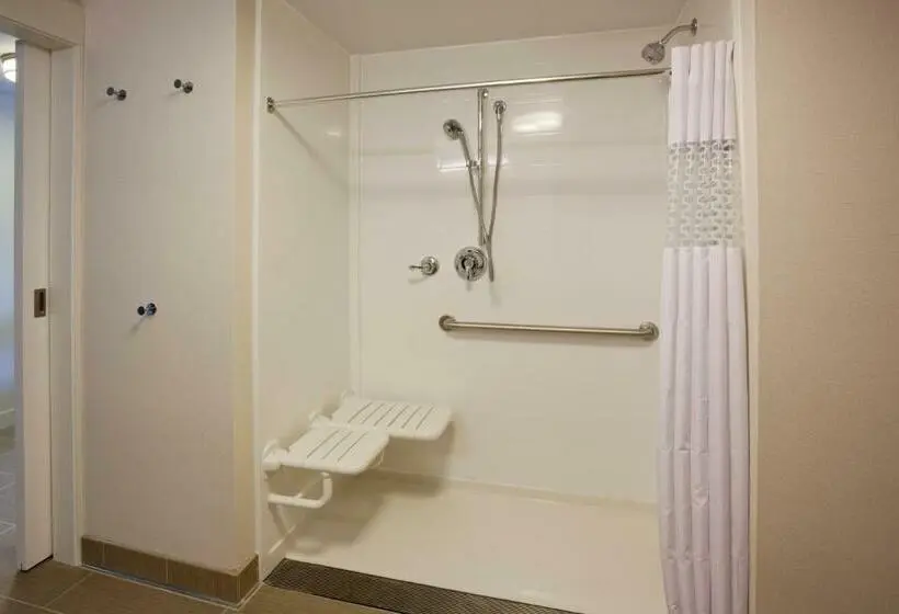 身障者適用キングサイズベッドルーム, Hampton Inn Spicer Green Lake