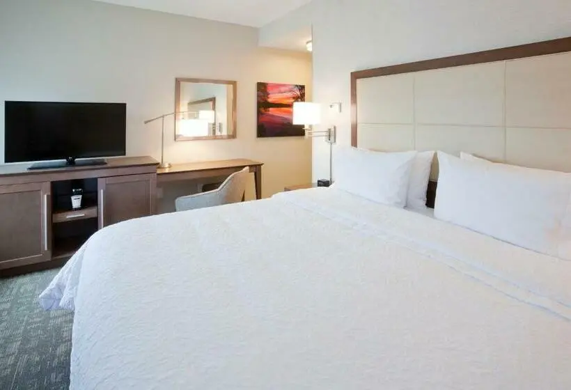 身障者適用キングサイズベッドルーム, Hampton Inn Spicer Green Lake