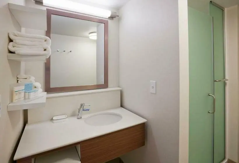 身障者適用キングサイズベッドルーム, Hampton Inn Spicer Green Lake
