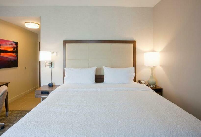 غرفة قياسية سرير كينج لذوى الإحتياجات الخاصة, Hampton Inn Spicer Green Lake
