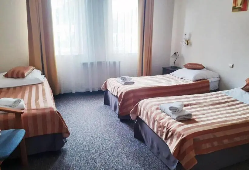 Standard Kolmen Hengen Huone, Salis Resort