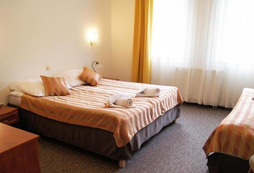 Номер Стандарт Трехместный, Salis Resort