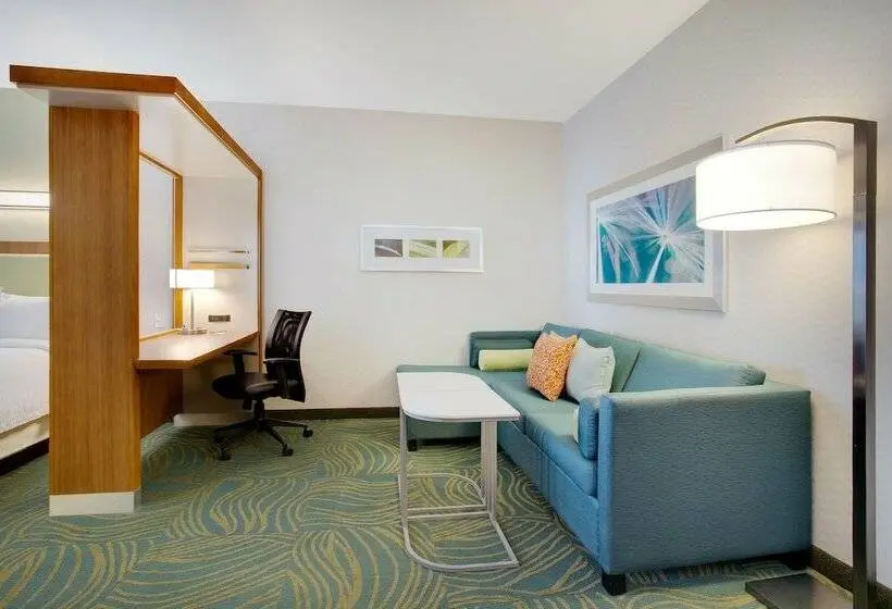 Sviitti, Springhill Suites By Marriott Murray