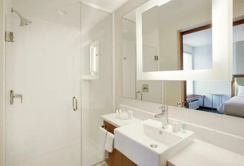 Sviitti King-vuode, Springhill Suites By Marriott Murray