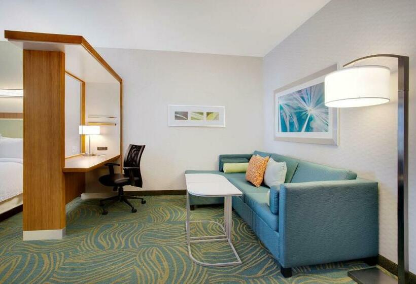 Люкс, Springhill Suites By Marriott Murray