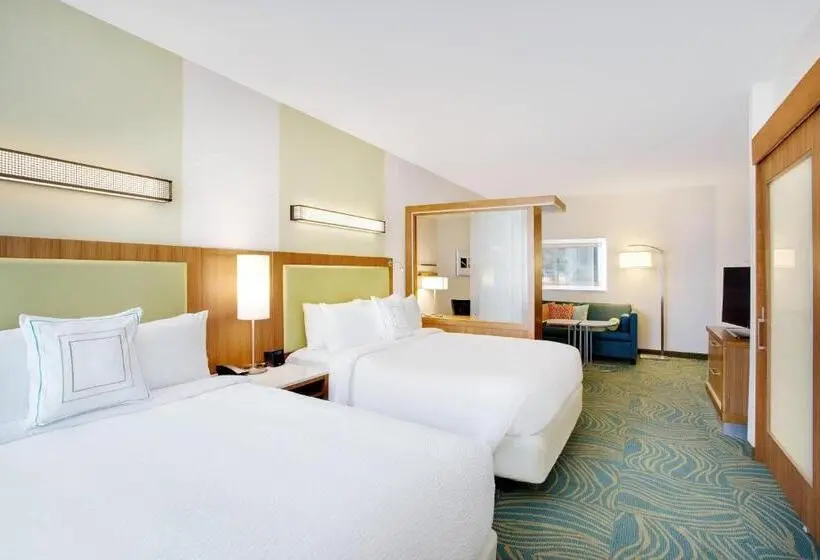 Sviitti Liikuntarajoitteisille, Springhill Suites By Marriott Murray