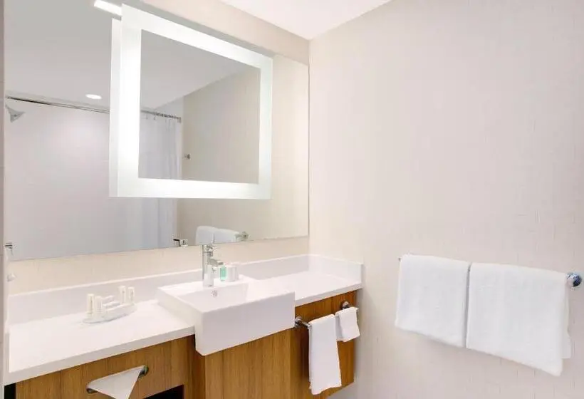 Sviitti Liikuntarajoitteisille, Springhill Suites By Marriott Murray