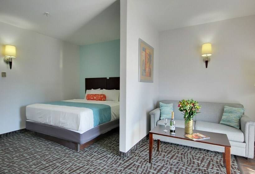 デラックススイート, Monte Carlo Condos