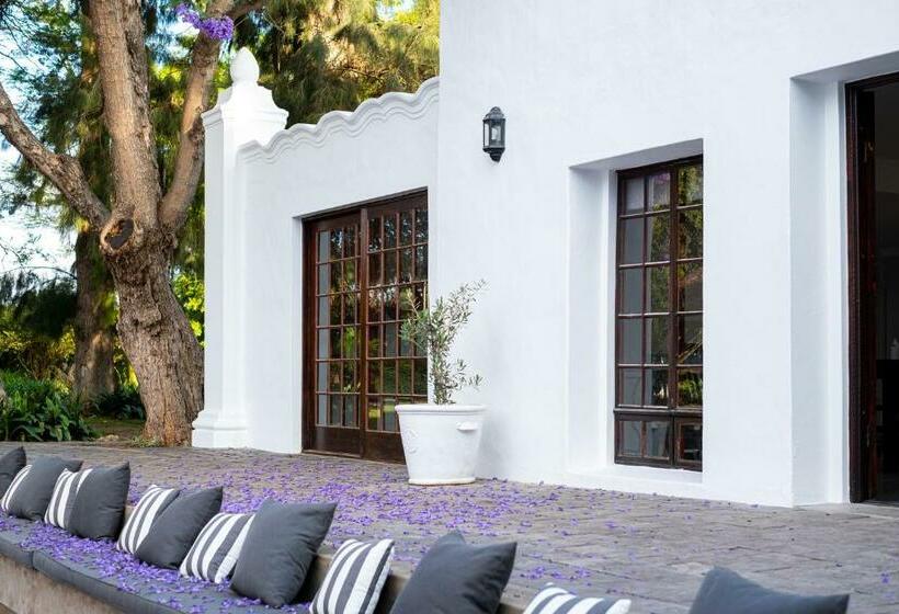 اتاق استاندارد, Stellenhof Guest House