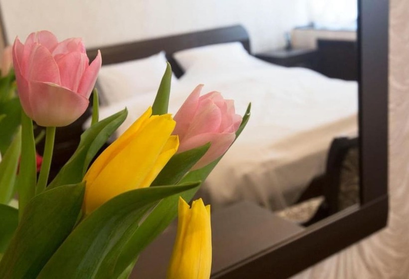 エコノミールーム, D  On Tverskaya