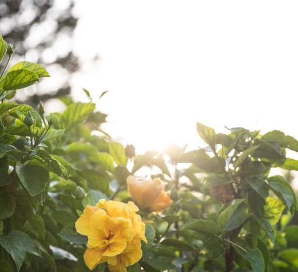 베이직 3인 룸, Lu  Hotel Porto Pino