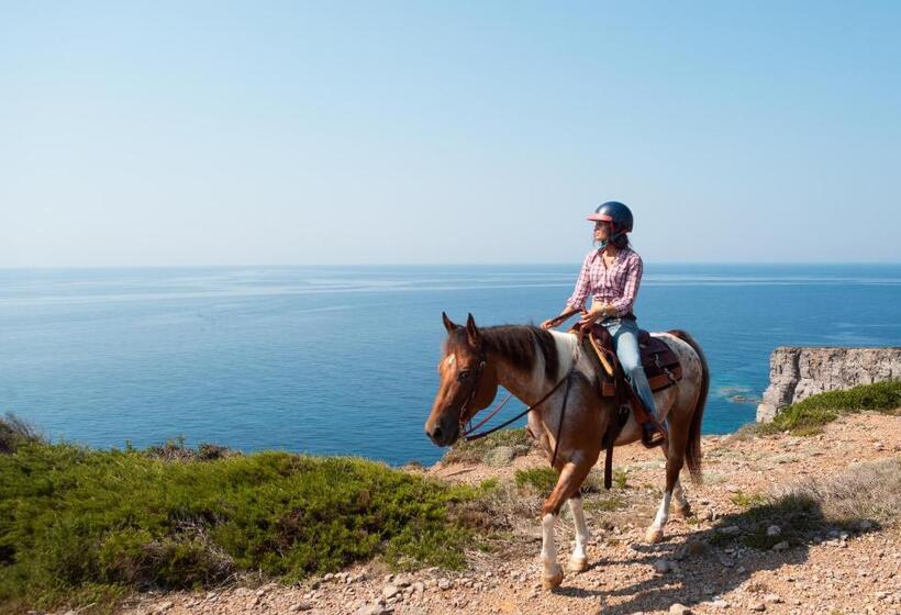 Полулюкс, Lu  Hotel Porto Pino