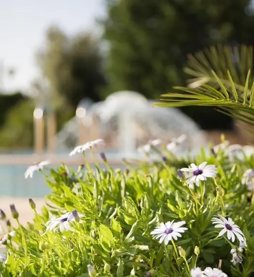 Basic Kolmen Hengen Huone, Lu  Hotel Porto Pino