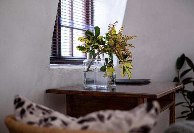 스탠다드 룸, Stellenhof Guest House