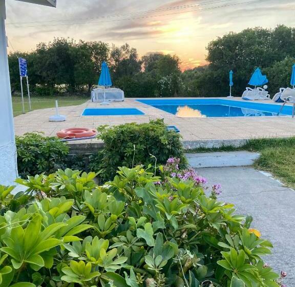 スタンダードスタジオ, Angelos Studios