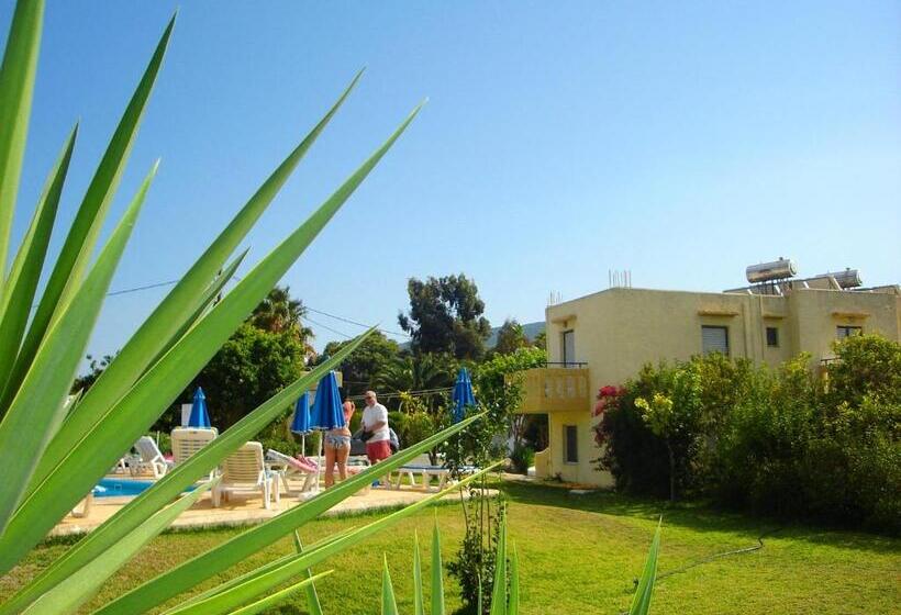 スタンダードスタジオ, Angelos Studios