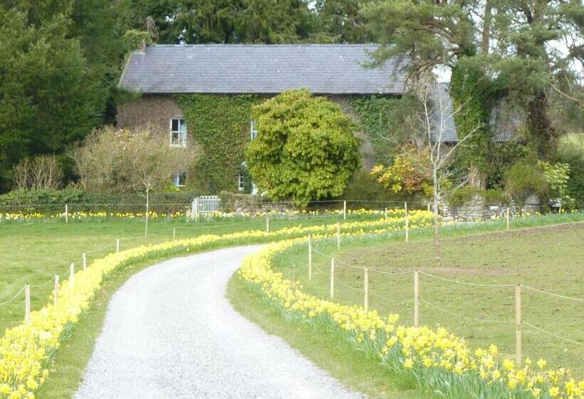 غرفة ديلوكس, Cullintra House