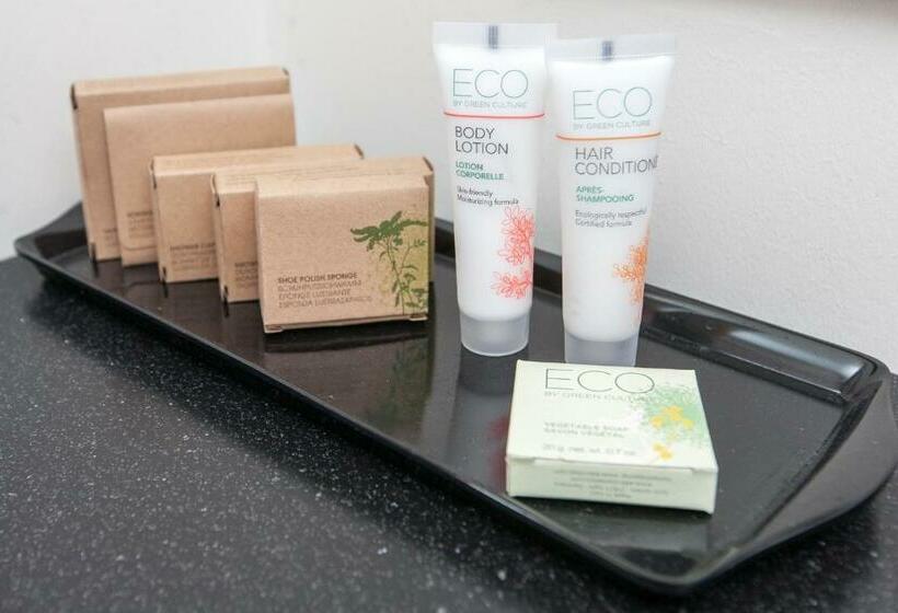 اتاق استاندارد با چشم‌انداز دریا, Fosshotel Glacier Lagoon