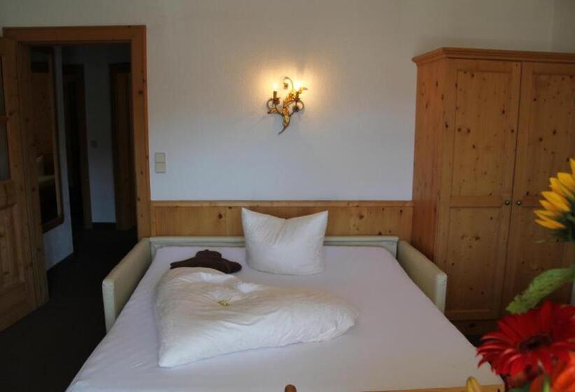 آپارتمان 1 خوابه با بالکن, Garni Apart Elfriede