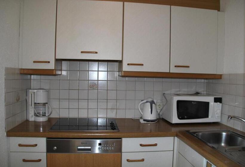 آپارتمان 2 خوابه, Garni Apart Elfriede