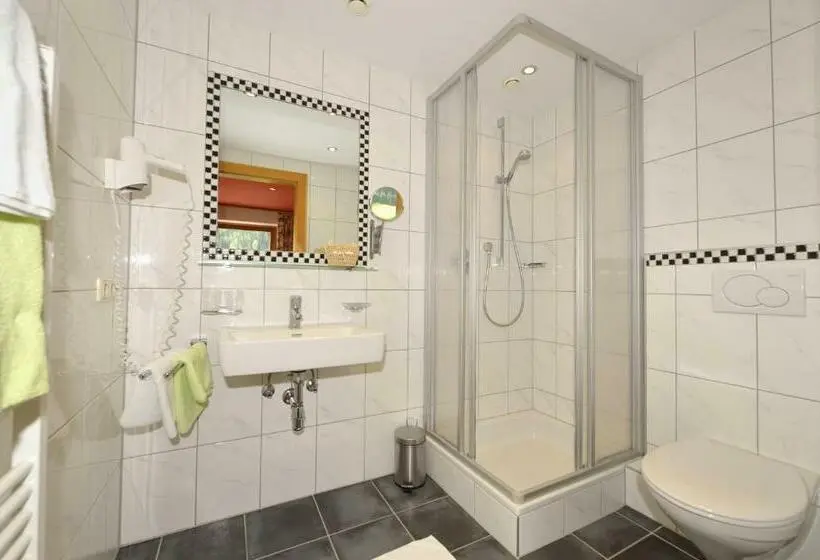 Standard Kolmen Hengen Huone, Garni Viktoria