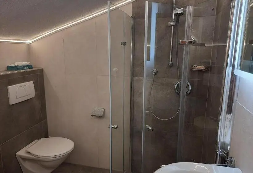 Standard Yhden Hengen Huone, Garni Viktoria