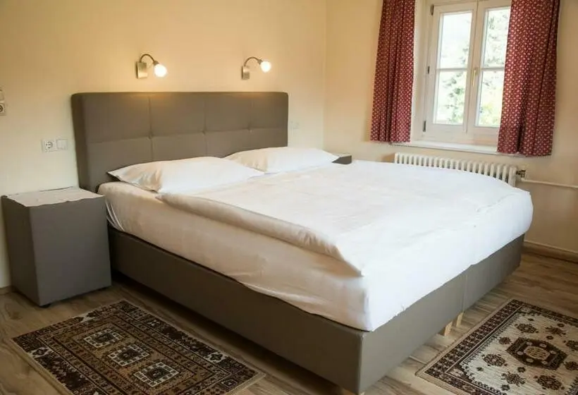 スタンダードルーム, Gasthof Hotel Jaritz