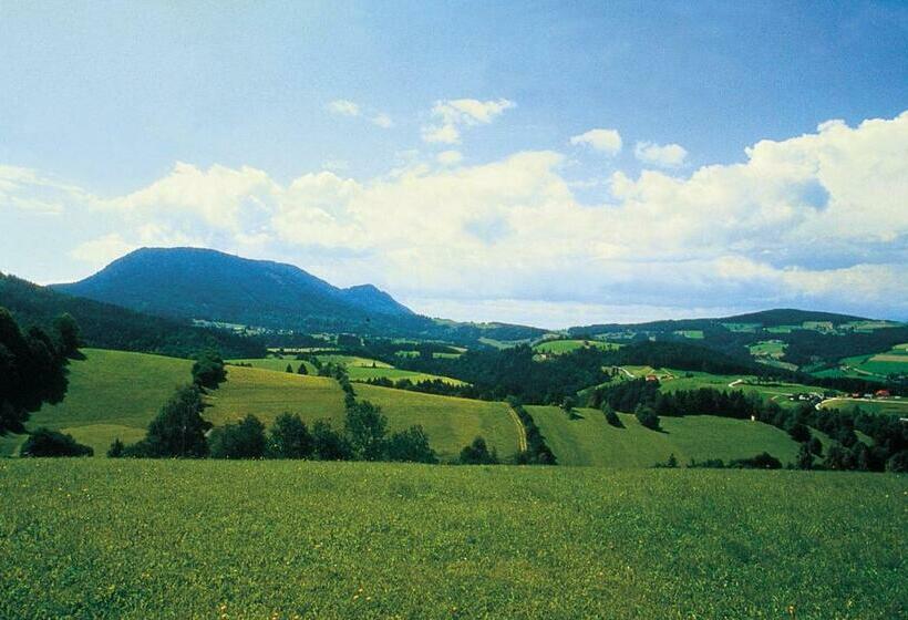 غرفة قياسية مزوَّدة بشُرفة, Gasthof Hotel Jaritz