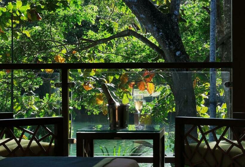 Habitació Deluxe, Loboc River Resort