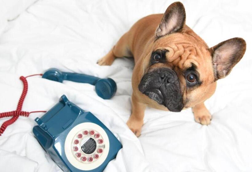 标准间, Moxy Nyc Times Square