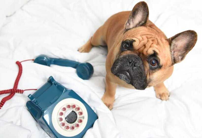 标准间, Moxy Nyc Times Square