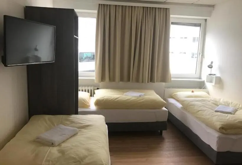 Standard Kolmen Hengen Huone, Montagehotel Bed & Steel
