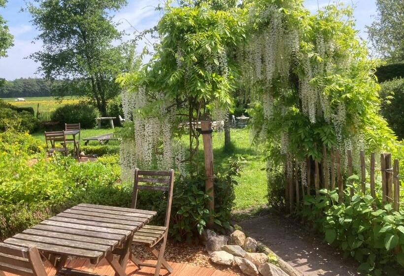Люкс, B&b Koornemoezen