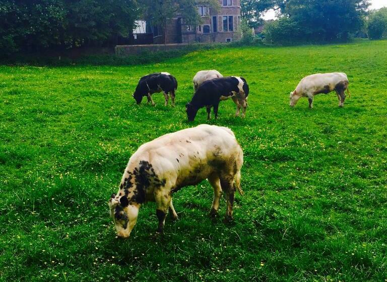 豪华房间, B&b Le Notaire