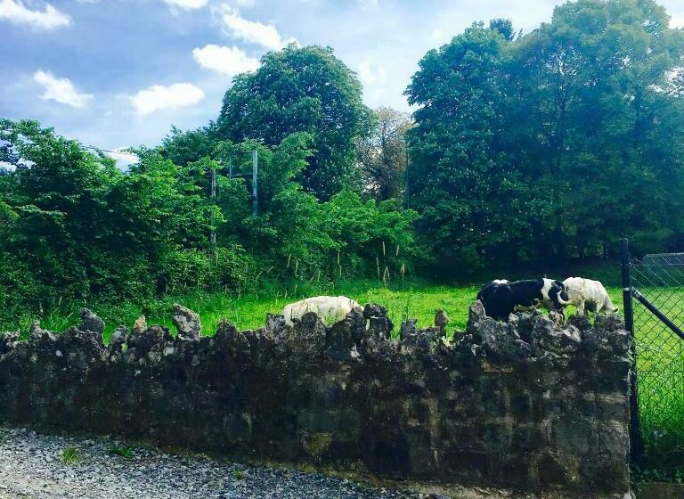 豪华套房, B&b Le Notaire