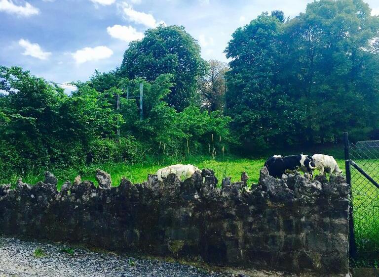 חדר סטנדרט מותאם לאדם עם מוגבלויות, B&b Le Notaire